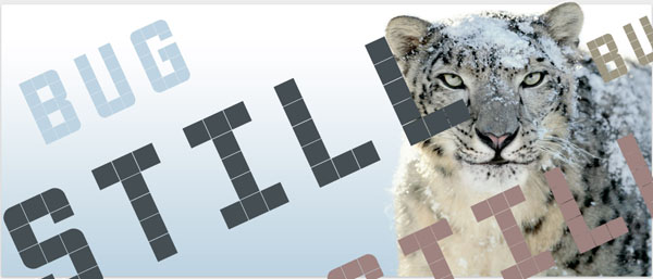 snowleopard_001 snowleopard_001